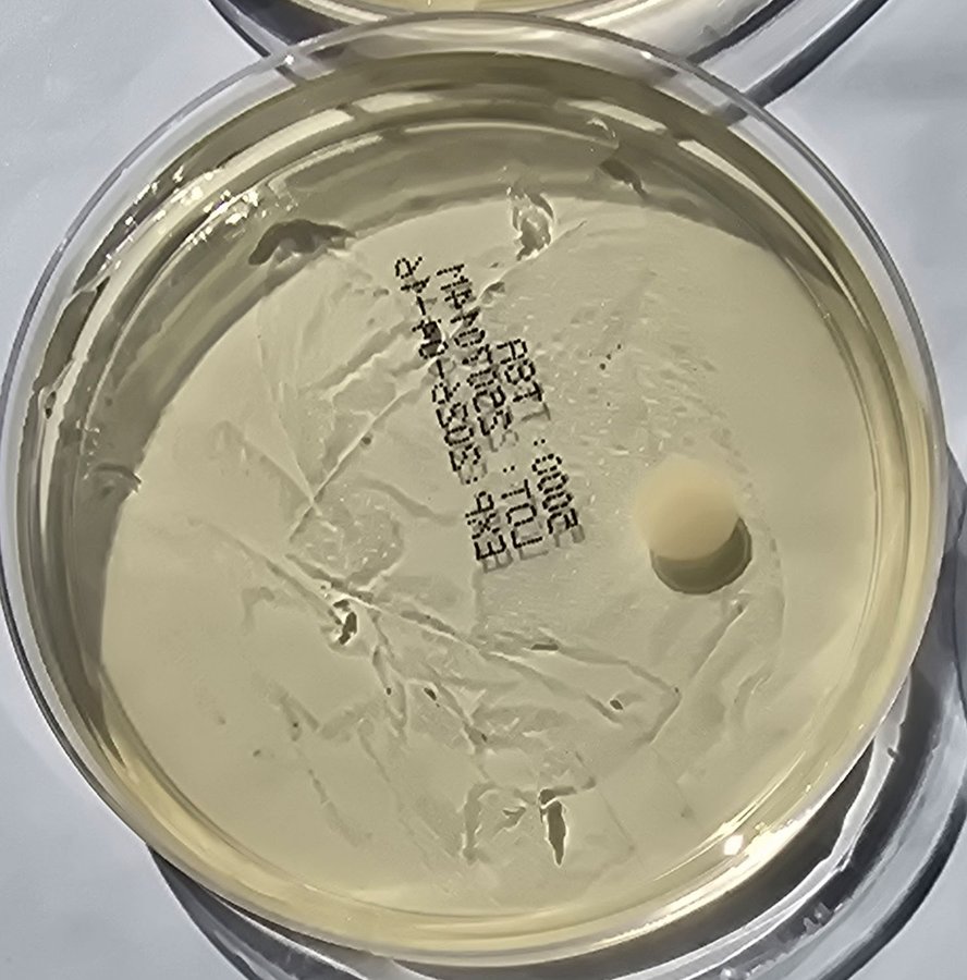 White paper towel sample plate, sterile