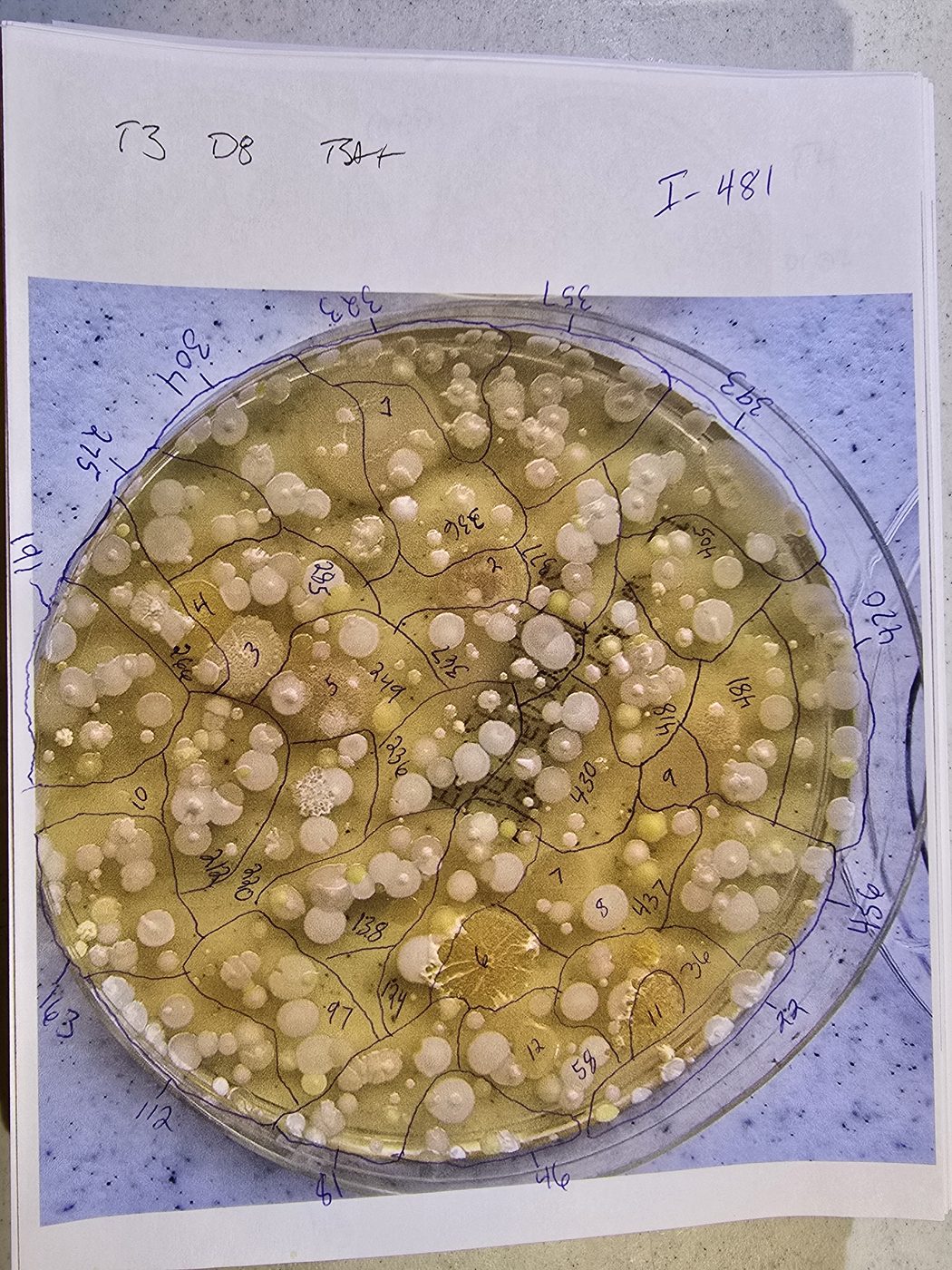 Hand-counted bacterial colonies from a dryer sample
